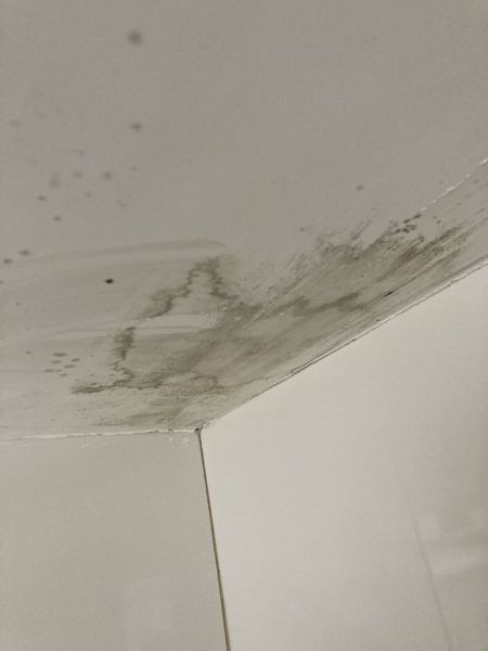Ceiling Water Stains - Residential painting problem Mumbai Thane Bhiwandi